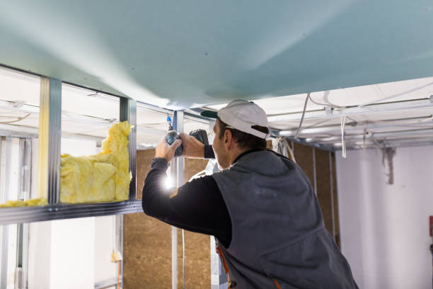 Best Energy Efficiency Solutions in Fox Lake Hls, IL